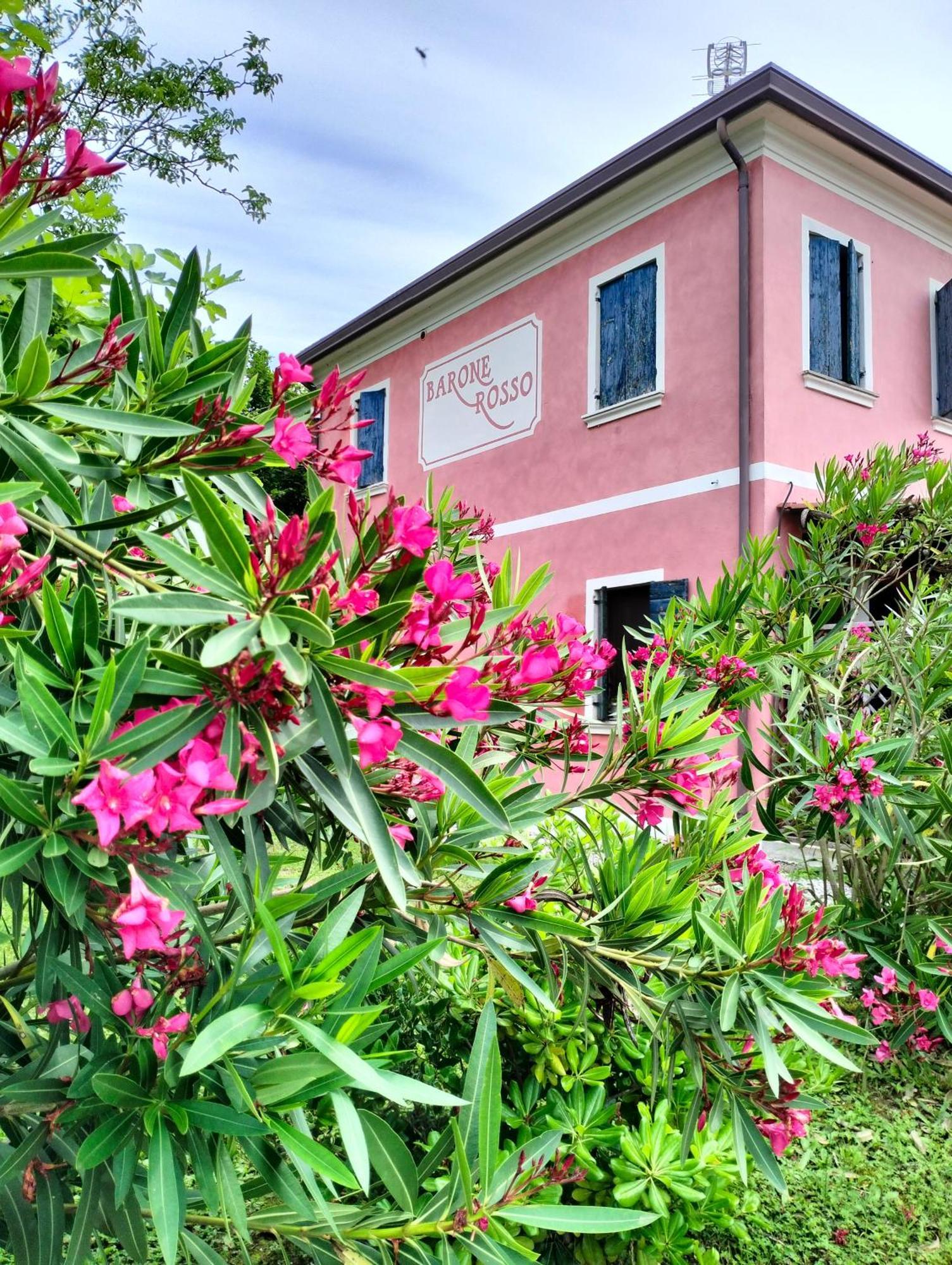 Bed and Breakfast Barone Rosso Treviso Exterior foto